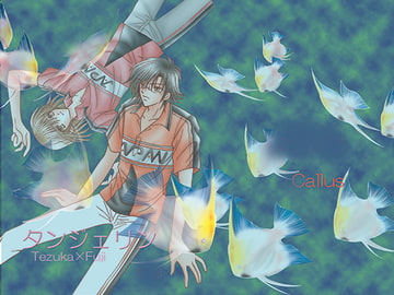 タンジェリン [Callus]