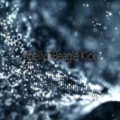 Shelly Multi Track [Beagle Kick]