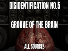 
        Disidentification_No.5_Groove of the brain
      