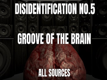 Disidentification_No.5_Groove of the brain [All Sources]
