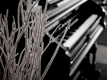 November Rag [NOMADO]