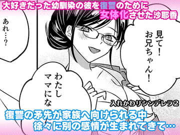 入れかわりシンデレラ2 [Marialite]