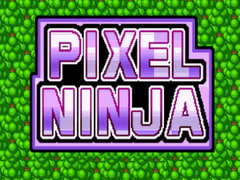 
        Pixel Ninja
      