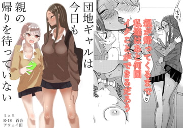 団地ギャルは今日も親の帰りを待っていない [アウェイ田]