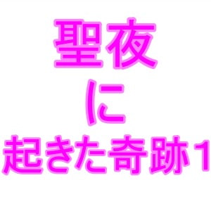 聖夜に起きた奇跡1 [夜見屋]