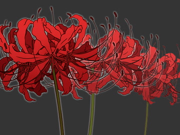 彼岸花5種 イラスト素材 線画と着色済み [みずの ゆめ屋]