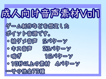 成人向け音声素材Vol1 [すぱらんど。]