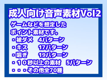 成人向け音声素材Vol2 [すぱらんど。]