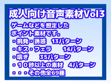 成人向け音声素材Vol3(サキュバス風) [すぱらんど。]