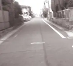 ○リッ子の野外屋内排泄目撃談集