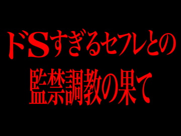ドSすぎるセフレとの監禁調教の果て [Persona]