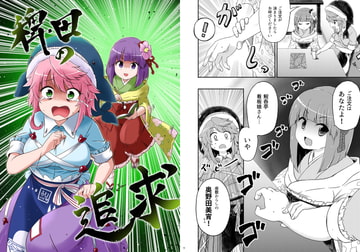 稗田の追求 [Public Planet]