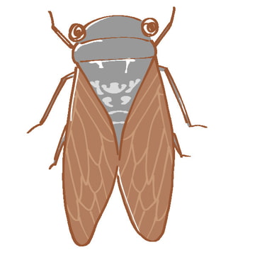 セミ、コオロギ、キリギリスの鳴き声 [霧切酢]