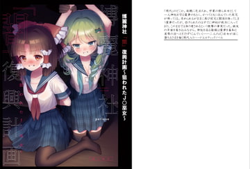 博麗神社「闇」復興計画 [zealfahren]