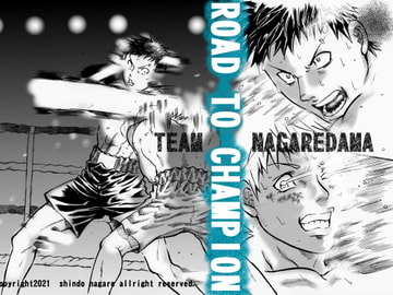 シュンとヒカル特別編～ROAD TO CHAMPION～ [TEAM Nagaredama]