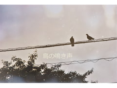 鳥の鳴き声 [kirigirisu]