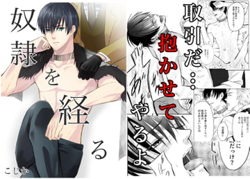 奴○を経る3 [Cozika]