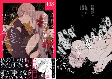 【姉×弟】今日も純情な弟は支配的な姉に為すすべもなく犯される Re: [一宙二星]