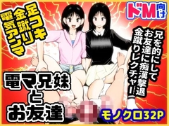 電マ兄妹とお友達 [ピーカン]