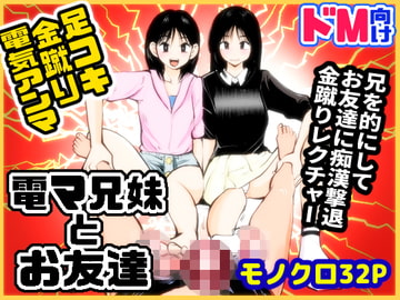 電マ兄妹とお友達 [ピーカン]