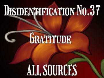 Disidentification_No.37_Gratitude [All Sources]
