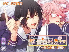 嘘つきだらけの男子寮～誰かの兄・慧編～ [geometric rose]