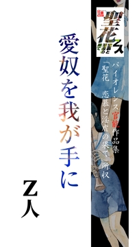 愛奴を我が手に [Z人]
