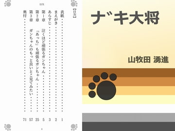 ナ゛キ大将 [Gradual Improvement]