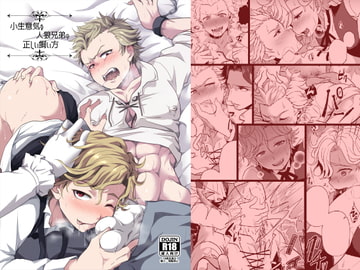 小生意気な人狼兄弟の正しい飼い方 [LV43]