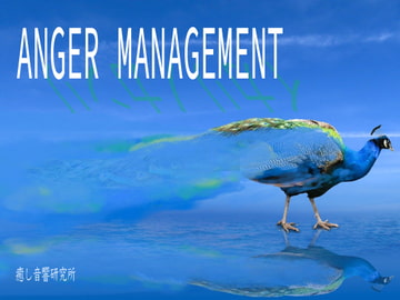 ANGER MANAGEMENT [癒し音響研究所]
