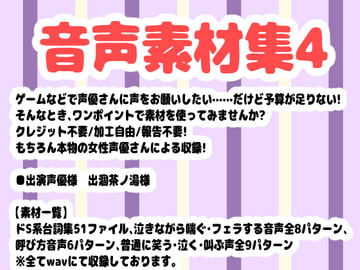 音声素材集4 [Junky-Soft]