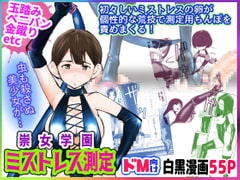 ミストレス測定 [ピーカン]