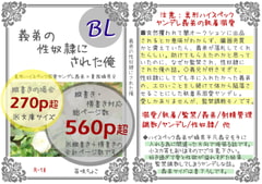 義弟の性奴○にされた俺 [苺味ちょこ]