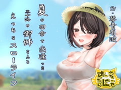 夏の田舎で出逢った三十路の御姉さんとえっちなスローライフ [さーべるたいにゃー]