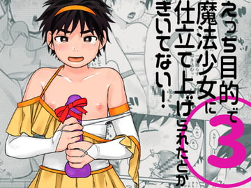 えっち目的で魔法少女に仕立て上げられたとかきいてない!3 [すんち]