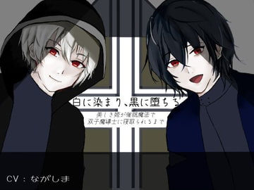 白に染まり、黒に堕ちる―美しき姫が催○魔法で双子魔導士に寝取られるまで― [くまじろう]