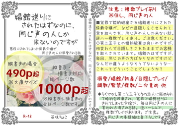 娼館送りにされたはずなのに、同じ声の人しか来ないのですが [苺味ちょこ]