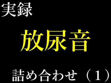 実録放尿音10種詰め合わせ(1) [音フェチの為のCyclone]