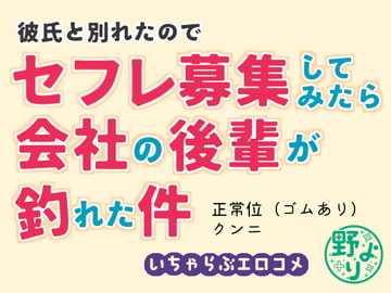 彼氏と別れたのでセフレ募集してみたら会社の後輩が釣れた件 [野より]