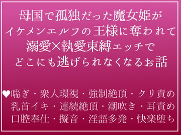 道具扱いされてきた魔女姫は、母国に攻め入ってきたエルフの王様(つよつよ絶倫)のえっちなお嫁さんにされちゃいました [つづら亭]