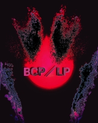 BCP/lP [DarkPython<BL>]