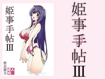 姫事手帖3 [敷島贋具]