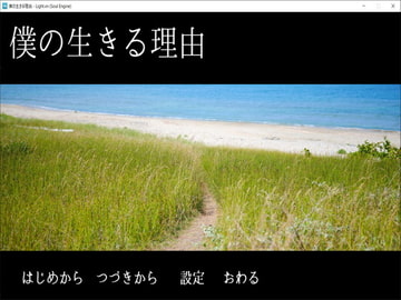 僕の生きる理由 [未来色原石]