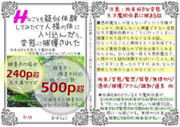 えっちなことを疑似体験してみたくて人様の体に入り込んだら、変態に捕獲された [苺味ちょこ]