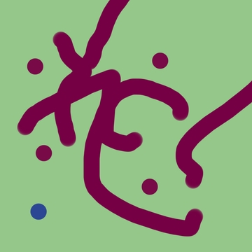 グアラシ [イイロ]