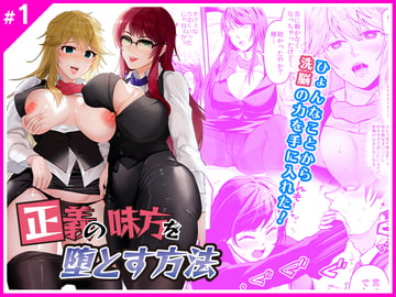 正義の味方を堕とす方法 [Marialite]