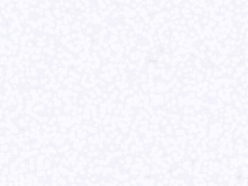 発泡スチロール [niotangu]