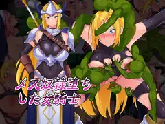 メス奴○堕ちした女騎士