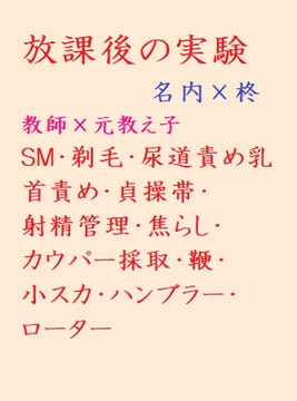 放課後の実験 [gooneone]