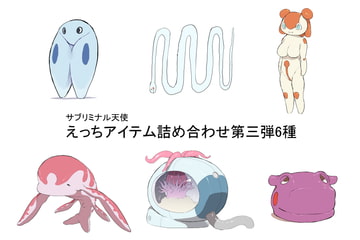 えっちアイテム詰め合わせ第三弾6種 [サブリミナル楽園]